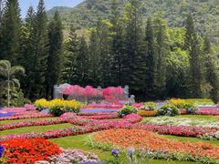 -深圳仙湖植物园