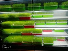 -番食园鲜食火锅(高新店)
