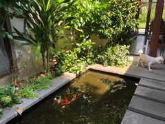 -候鸟水榕庄度假酒店