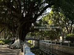 -厦门高崎国际机场-T3航站楼