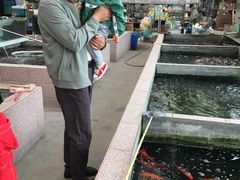 -李村大集