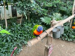 -南宫五洲植物乐园