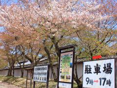 -醍醐寺