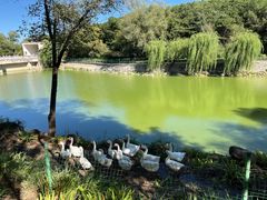 -北京张裕爱斐堡酒庄