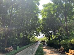 -苏州河梦清园环保主题公园