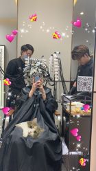 -崇尚GAVIN STYLE臻选