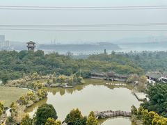-张坝桂圆林公园