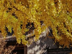 -潭柘寺景区