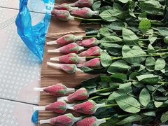 -循礼门鲜花花市(武汉循礼门店)