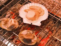 -震海贝烤贝·民俗特色店(延吉总店)