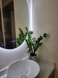 -王妃SPA·美容·科技抗衰