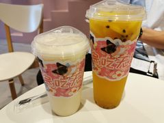 -猫儿山۰猫主题餐厅