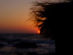 -Cafe Aewol Monsant
