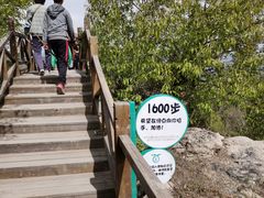 -大岭沟猕猴桃谷风景区