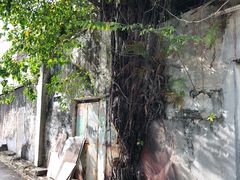 -槟城街头艺术街区