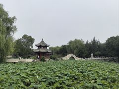 -莲池书院博物馆