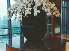 -视界美食自助餐厅·石家庄希尔顿酒店