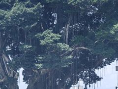 -中国船政文化博物馆