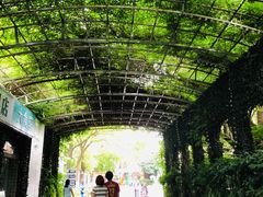 -J Create城市露营咖啡·简餐·宠物(上海动物园店)