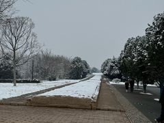 -秦始皇帝陵博物院-丽山园