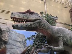 -国家自然博物馆