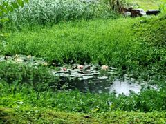 -杭州植物园