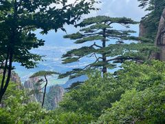 -黄山风景区