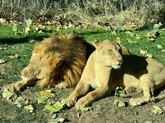-北京野生动物园