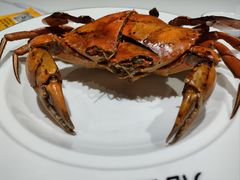 -膳富贵黄油蟹体验馆(欢乐港湾店)