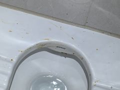 -菲鱼体育恒温游泳馆(中海名城店)