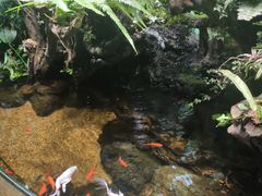 -太平洋海底世界