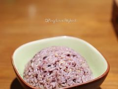 米饭-十二舍·湯物素煮(江泰潤政店)