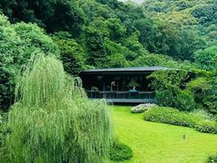 -云溪植物园