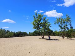 -东郊湿地公园