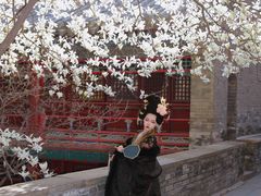-潭柘寺景区