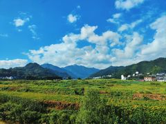 -新安江山水画廊风景区