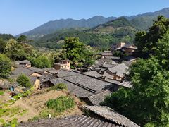 -杨家堂村