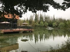 -上海长兴岛郊野公园