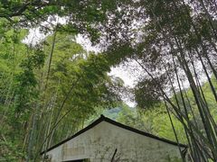 -会稽山峡洞漂流-上青古道