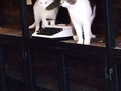 iphone_upload_pic-MIKAKU(万达广场上海宝山店)