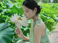 -陶辛水韵