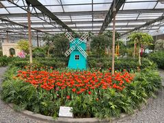 -南宫五洲植物乐园