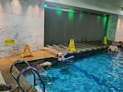 -上海外滩茂悦大酒店