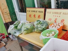 -大自然农场蔬菜草莓采摘园