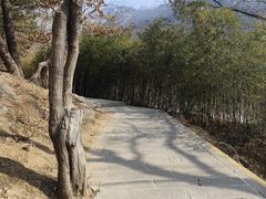 -崂山巨峰游览区