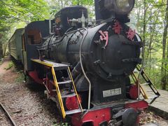 -五营红松林海景区