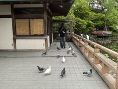 -鹤冈八幡宫