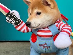 -华谊兄弟（长沙）电影小镇