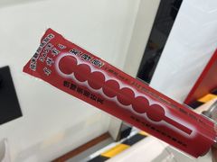 -和禄德冰糖葫芦