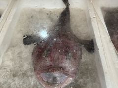 -江杨农产品批发市场